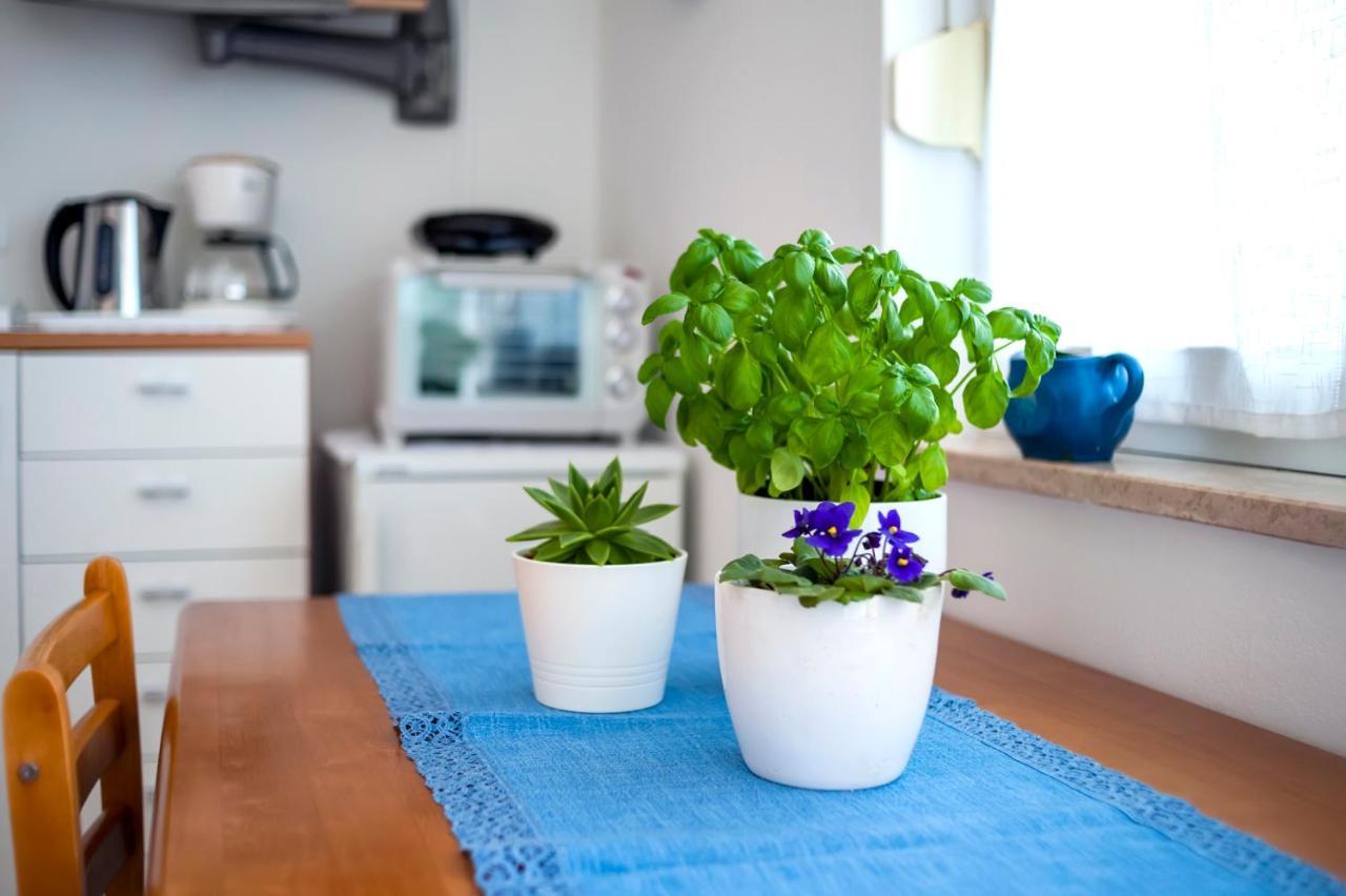 Apartment Casa Banko ロヴィニ エクステリア 写真
